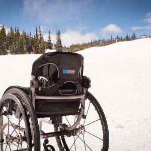 Image of the Acta Relief Back Wheelchair Cushion - Pressure-relieving wheelchair cushion featuring a contoured design and air cells for improved comfort and skin protection.