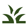 Image of the grass logo